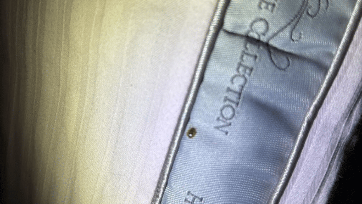 A close-up photo of a mattress with a small brown bed bug visible near the stitching.