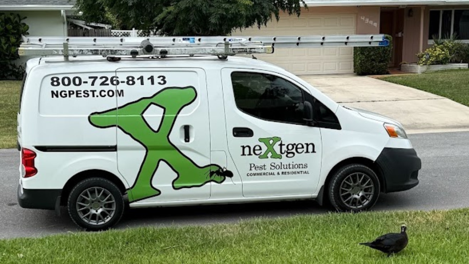 Nextgen Pest Solutions service van